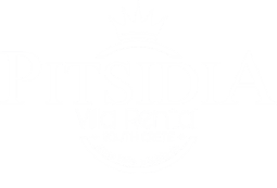 Pitsidia Villa Rental